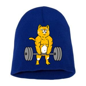 Cat Deadlift Weightlifting Cat Gift Short Acrylic Beanie