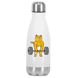 Cat Deadlift Weightlifting Cat Gift Stainless Steel Insulated Water Bottle