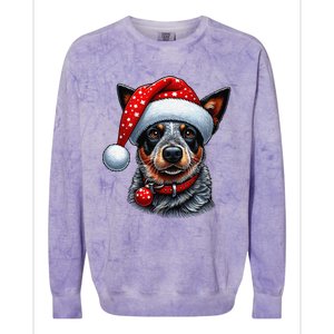 Cattle Dog With Santa Hat Colorblast Crewneck Sweatshirt