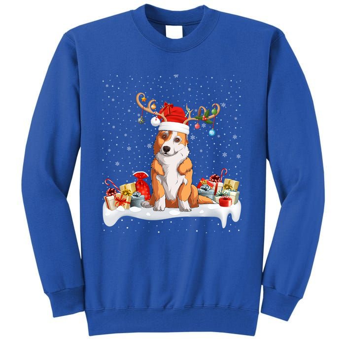 Corgi Dog Xmas Lights Reindeer Santa Corgi Christmas Gift Tall Sweatshirt