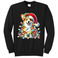 Corgi Dog X Christmas Lights Raglan Baseball Sweatshirt