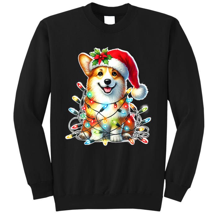 Corgi Dog X Christmas Lights Raglan Baseball Sweatshirt