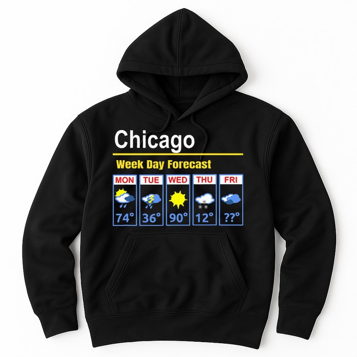 Chicago Erratic 5 Day Weather Forecast Hoodie