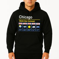 Chicago Erratic 5 Day Weather Forecast Hoodie