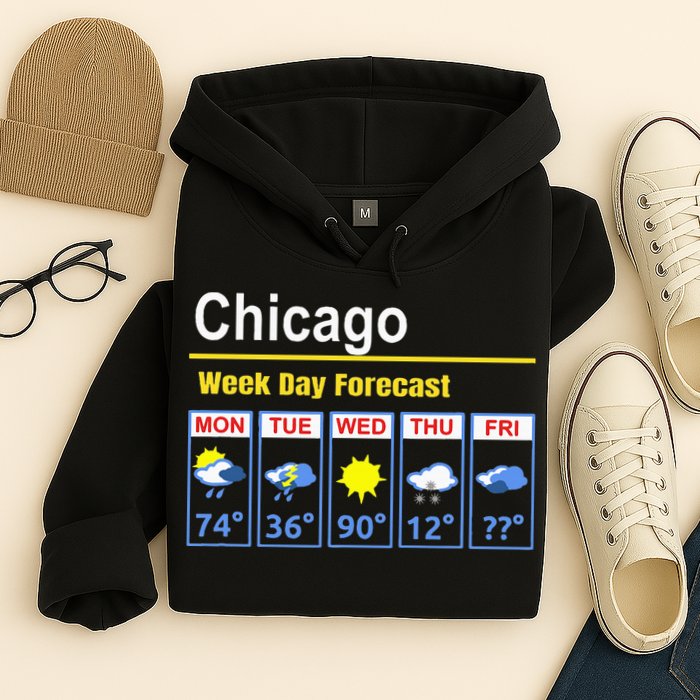 Chicago Erratic 5 Day Weather Forecast Hoodie