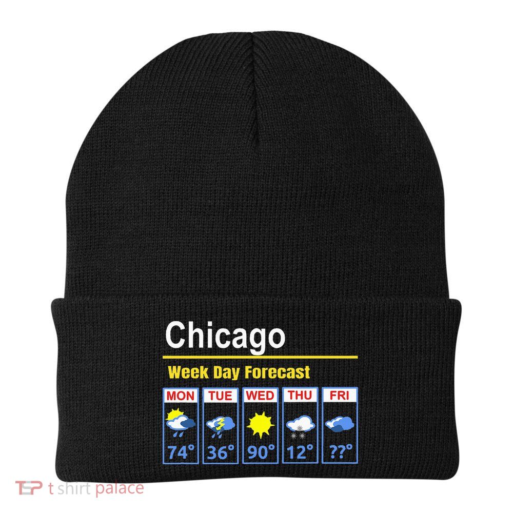 Chicago Erratic 5 Day Weather Forecast Beanie