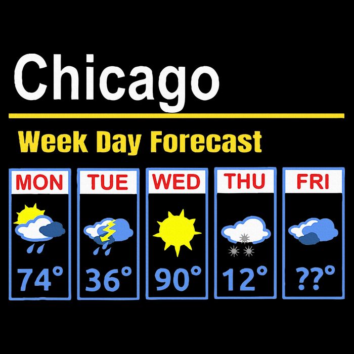 Chicago Erratic 5 Day Weather Forecast 16 in Basic Backpack