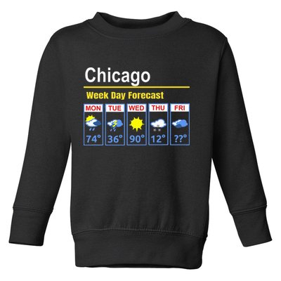 Chicago Erratic 5 Day Weather Forecast Toddler Sweatshirt