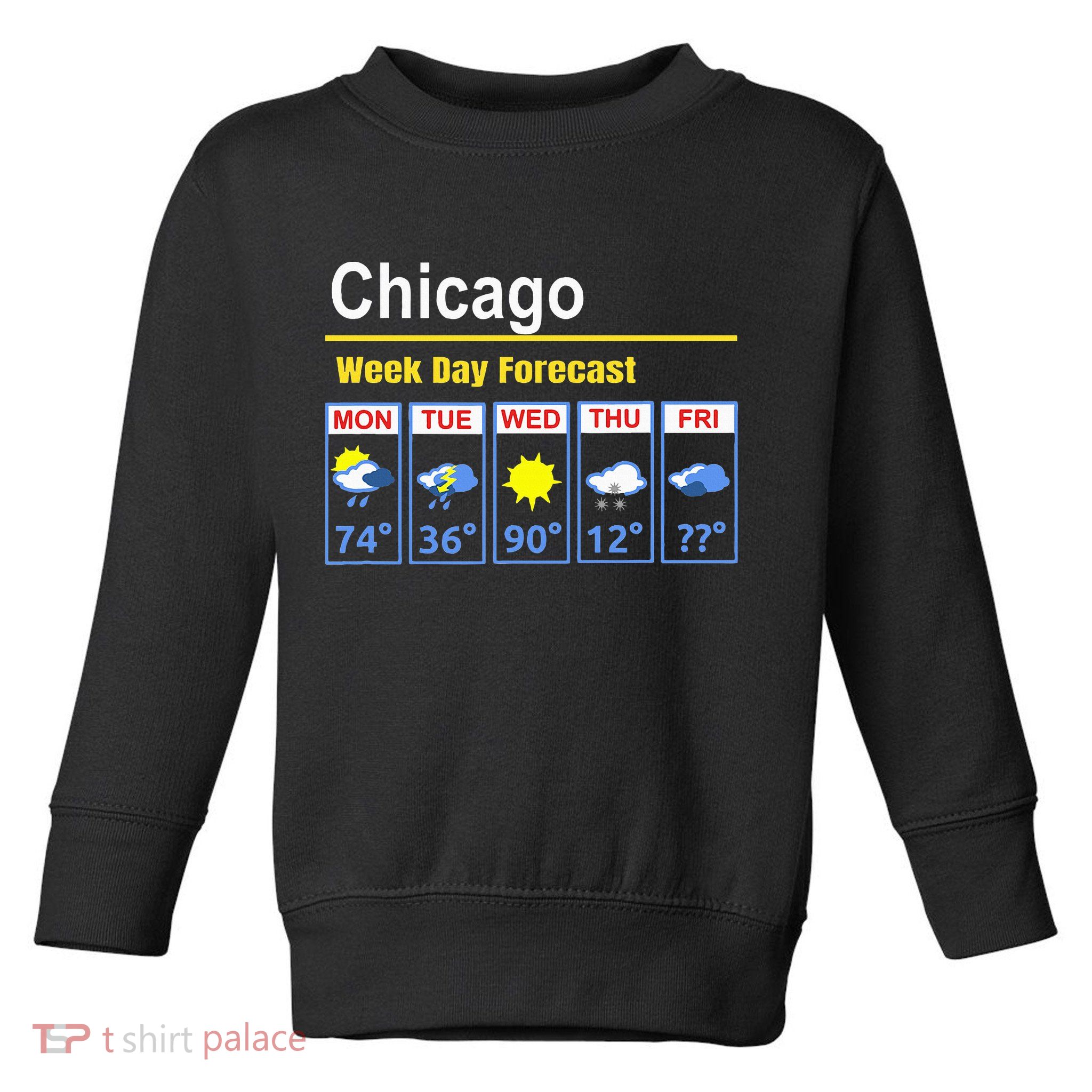 Chicago Erratic 5 Day Weather Forecast Toddler Sweatshirt