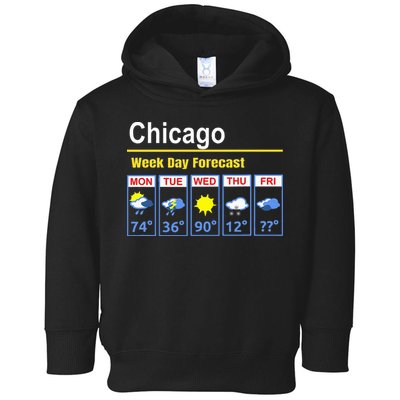 Chicago Erratic 5 Day Weather Forecast Toddler Hoodie