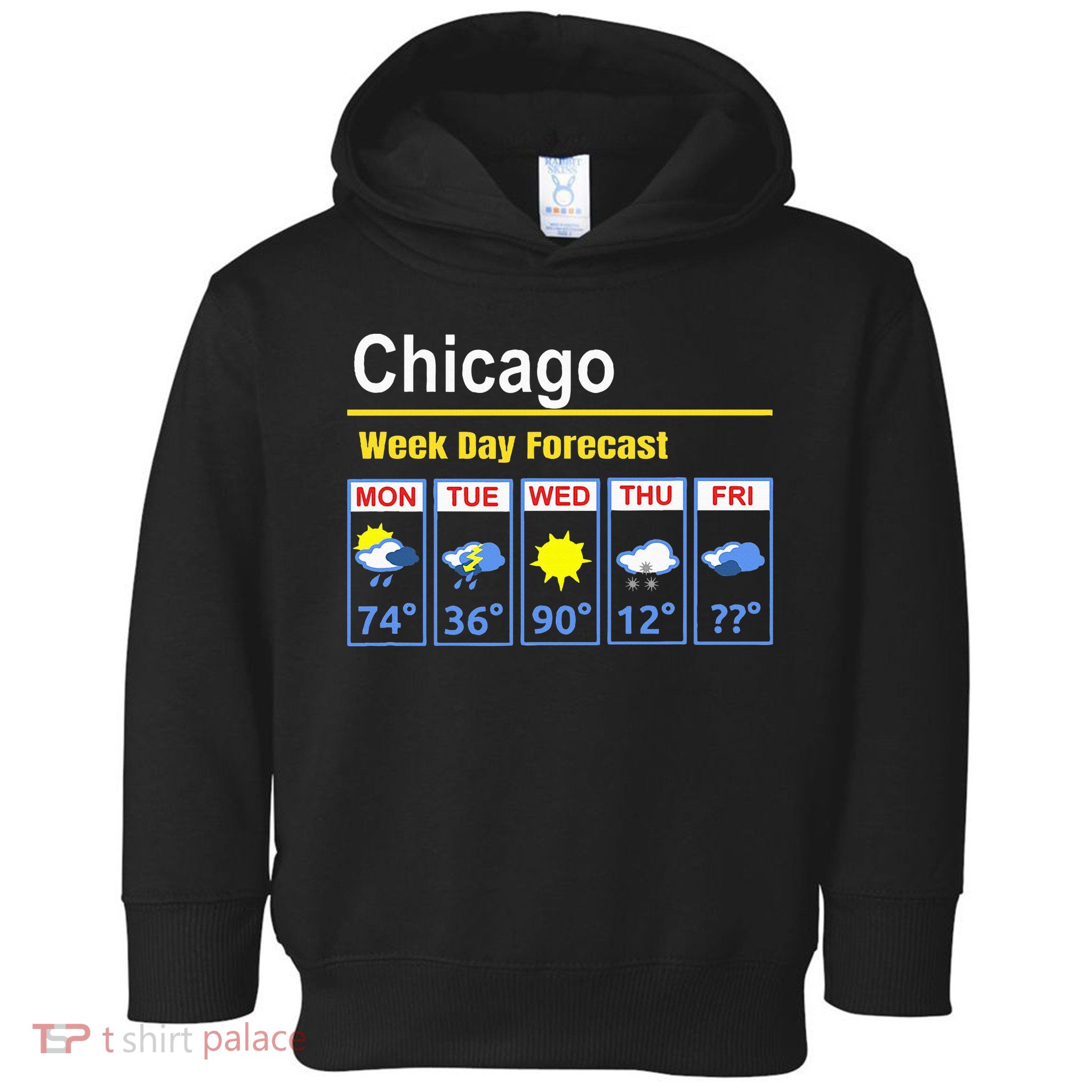 Chicago Erratic 5 Day Weather Forecast Toddler Hoodie