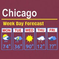 Chicago Erratic 5 Day Weather Forecast 16oz Travel Tumbler
