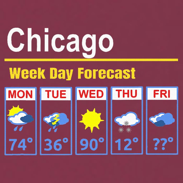 Chicago Erratic 5 Day Weather Forecast 16oz Travel Tumbler