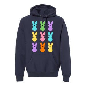 Colorful Easter Bunny Holiday Premium Hoodie