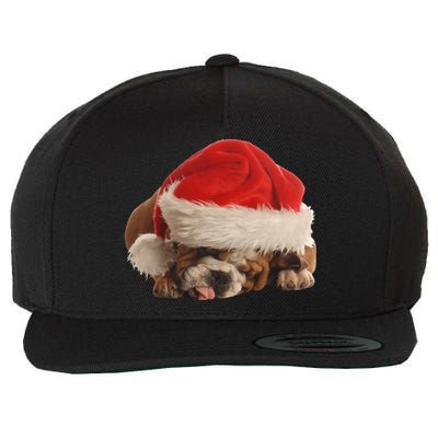 Cute English Bulldog Santa Costume Funny Christmas Bulldog Gift Wool Snapback Cap