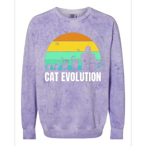 Cat Evolution Colorblast Crewneck Sweatshirt