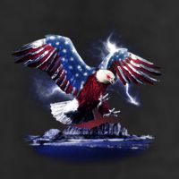 Cyborg Eagle Adult Drive Performance Visor