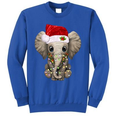 Cute Elephant Christmas Light Funny Elephant Lover Xmas Gift Tall Sweatshirt