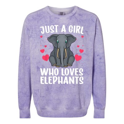 Cool Elephant For Women Girls African Elephant Lover Zoology Colorblast Crewneck Sweatshirt