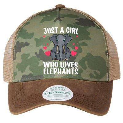 Cool Elephant For Women Girls African Elephant Lover Zoology Legacy Tie Dye Trucker Hat