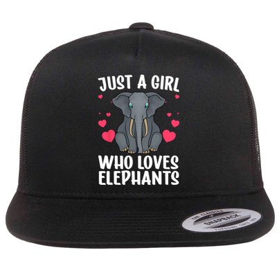 Cool Elephant For Women Girls African Elephant Lover Zoology Flat Bill Trucker Hat