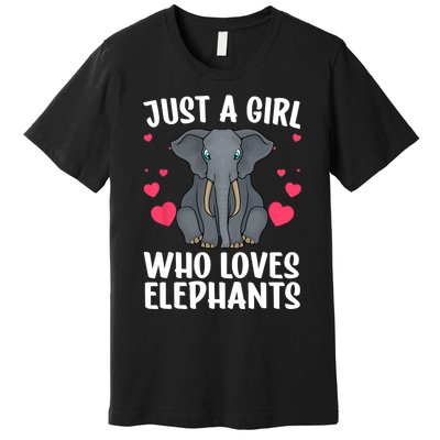 Cool Elephant For Women Girls African Elephant Lover Zoology Premium T-Shirt