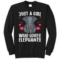 Cool Elephant For Women Girls African Elephant Lover Zoology Tall Sweatshirt