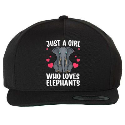 Cool Elephant For Women Girls African Elephant Lover Zoology Wool Snapback Cap