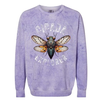 Cicada Explorer Funny Summer 2024 Insect Invasion Vintage Colorblast Crewneck Sweatshirt