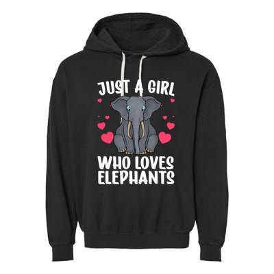 Cool Elephant For Wo Girl African Elephant Lover Zoology Garment-Dyed Fleece Hoodie