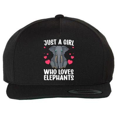 Cool Elephant For Wo Girl African Elephant Lover Zoology Wool Snapback Cap
