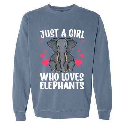 Cool Elephant For Wo Girl African Elephant Lover Zoology Garment-Dyed Sweatshirt