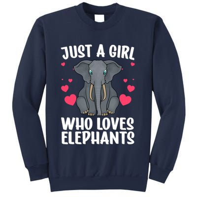 Cool Elephant For Wo Girl African Elephant Lover Zoology Sweatshirt