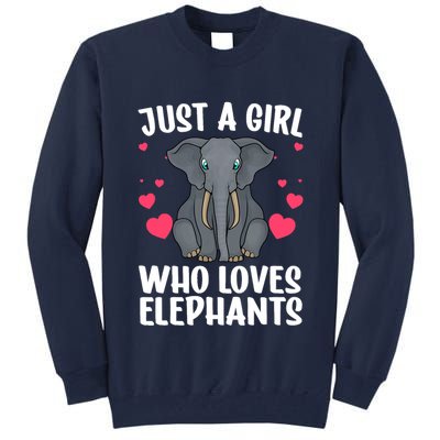 Cool Elephant For Wo Girl African Elephant Lover Zoology Tall Sweatshirt