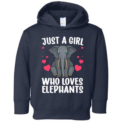 Cool Elephant For Wo Girl African Elephant Lover Zoology Toddler Hoodie