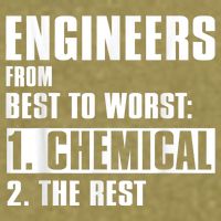 Chemical Engineer Funny Engineers From Best To Worst Garment-Dyed Women's Muscle Tee