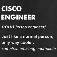 Cisco Engineer Gift 7 Panel Mesh Trucker Snapback Hat