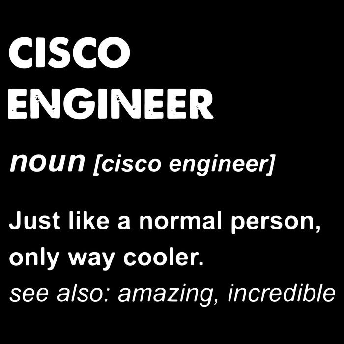 Cisco Engineer Gift Apron