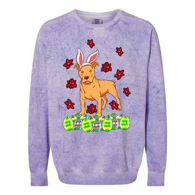 Cute Easter Gift Idea For Pit Bull Pittie Terrier Lovers Gift Colorblast Crewneck Sweatshirt