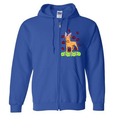 Cute Easter Gift Idea For Pit Bull Pittie Terrier Lovers Gift Full Zip Hoodie