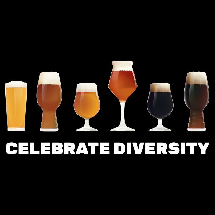 Celebrate Diversity beer Funny Poster
