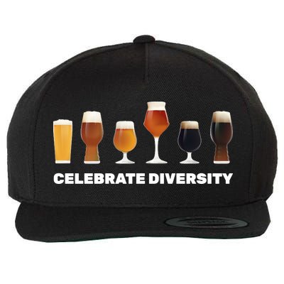 Celebrate Diversity beer Funny Wool Snapback Cap