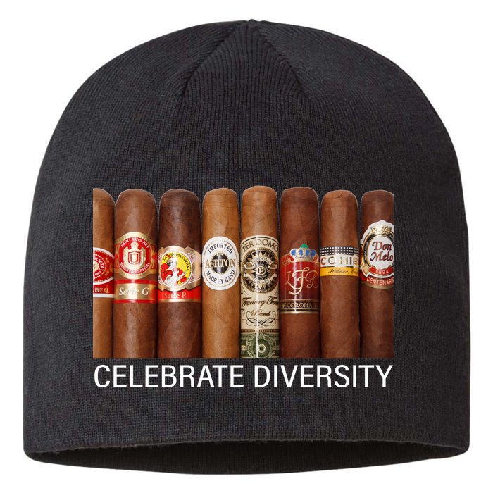 Celebrate Diversity Cigars Sustainable Beanie