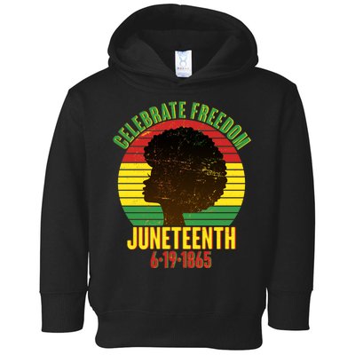 Celebrate Freedom Juneteenth 6-19-1865 Toddler Hoodie