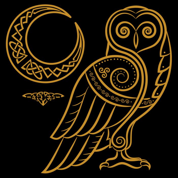 Celtic Knot Moon Owl Toddler Hoodie