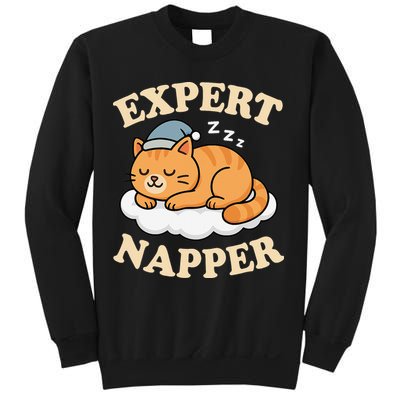 Cat Expert Napper Funny Kitty Sarcasm Humor Cat Saying Sweatshirt