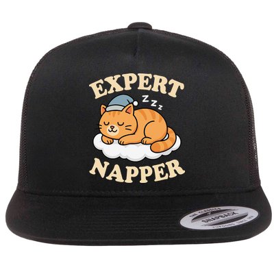 Cat Expert Napper Funny Kitty Sarcasm Humor Cat Saying Flatbill Hat