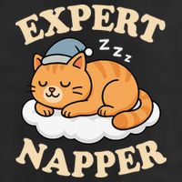 Cat Expert Napper Funny Kitty Sarcasm Humor Cat Saying 12oz Stainless Steel Coffee Mug