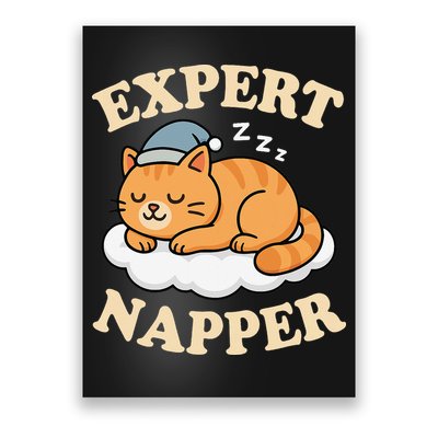 Cat Expert Napper Funny Kitty Sarcasm Humor Cat Saying Poster