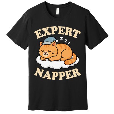 Cat Expert Napper Funny Kitty Sarcasm Humor Cat Saying Premium T-Shirt